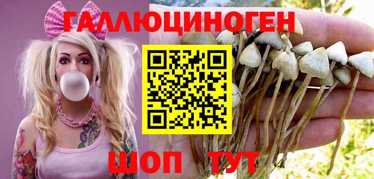 Нальчик  Псилоцибиновые грибы Psilocybine cubensis  Вход с VPN 